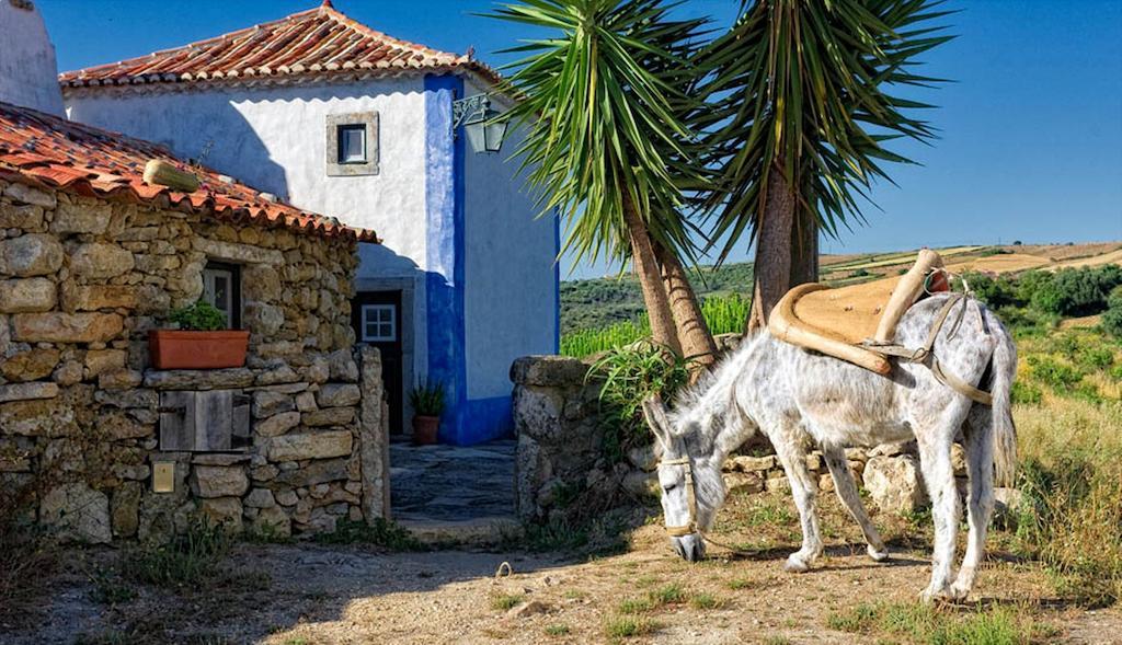 Hotel Aldeia Da Mata Pequena Mafra Habitación foto